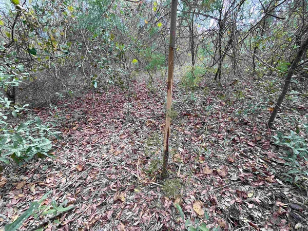 $120,000 | Vacant Southeast River Road, Lee, FL 32059