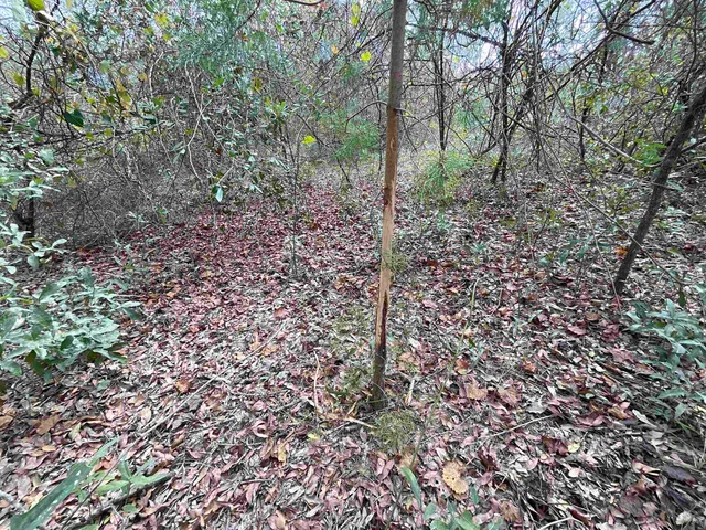 $120,000 | Vacant Southeast River Road, Lee, FL 32059