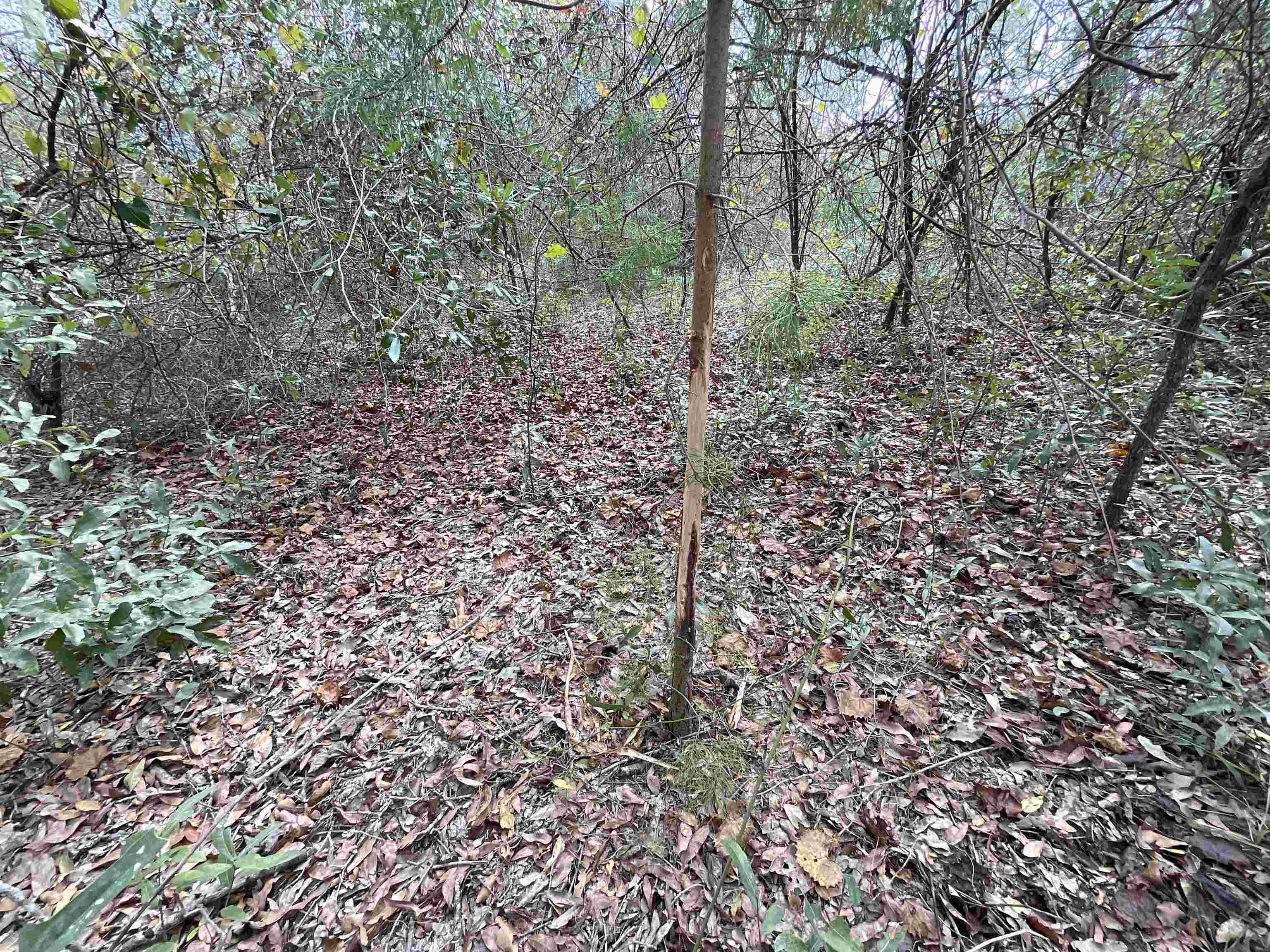 Vacant Southeast River Road Lee, FL 32059 - Photo 21 of 42