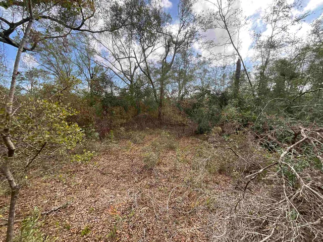 $120,000 | Vacant Southeast River Road, Lee, FL 32059