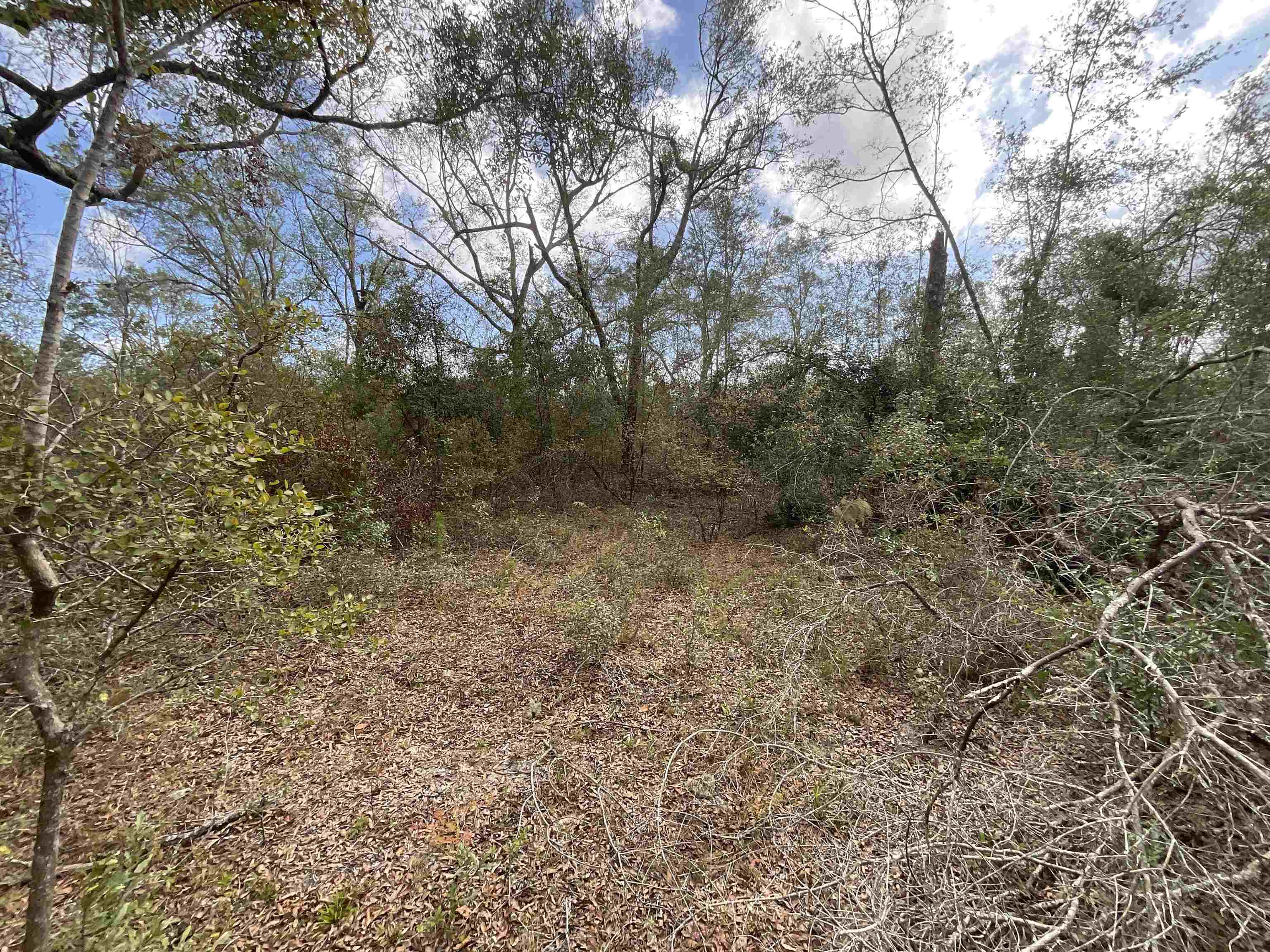 Vacant Southeast River Road Lee, FL 32059 - Photo 22 of 42