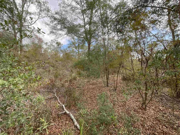 $120,000 | Vacant Southeast River Road, Lee, FL 32059
