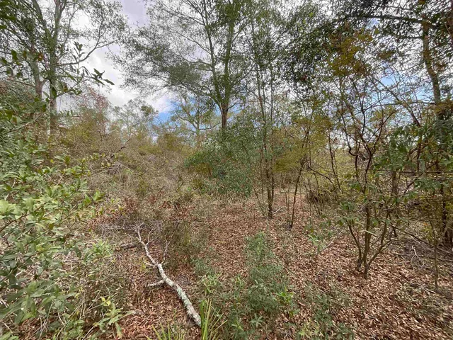 $120,000 | Vacant Southeast River Road, Lee, FL 32059