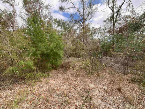 $120,000 | Vacant Southeast River Road, Lee, FL 32059