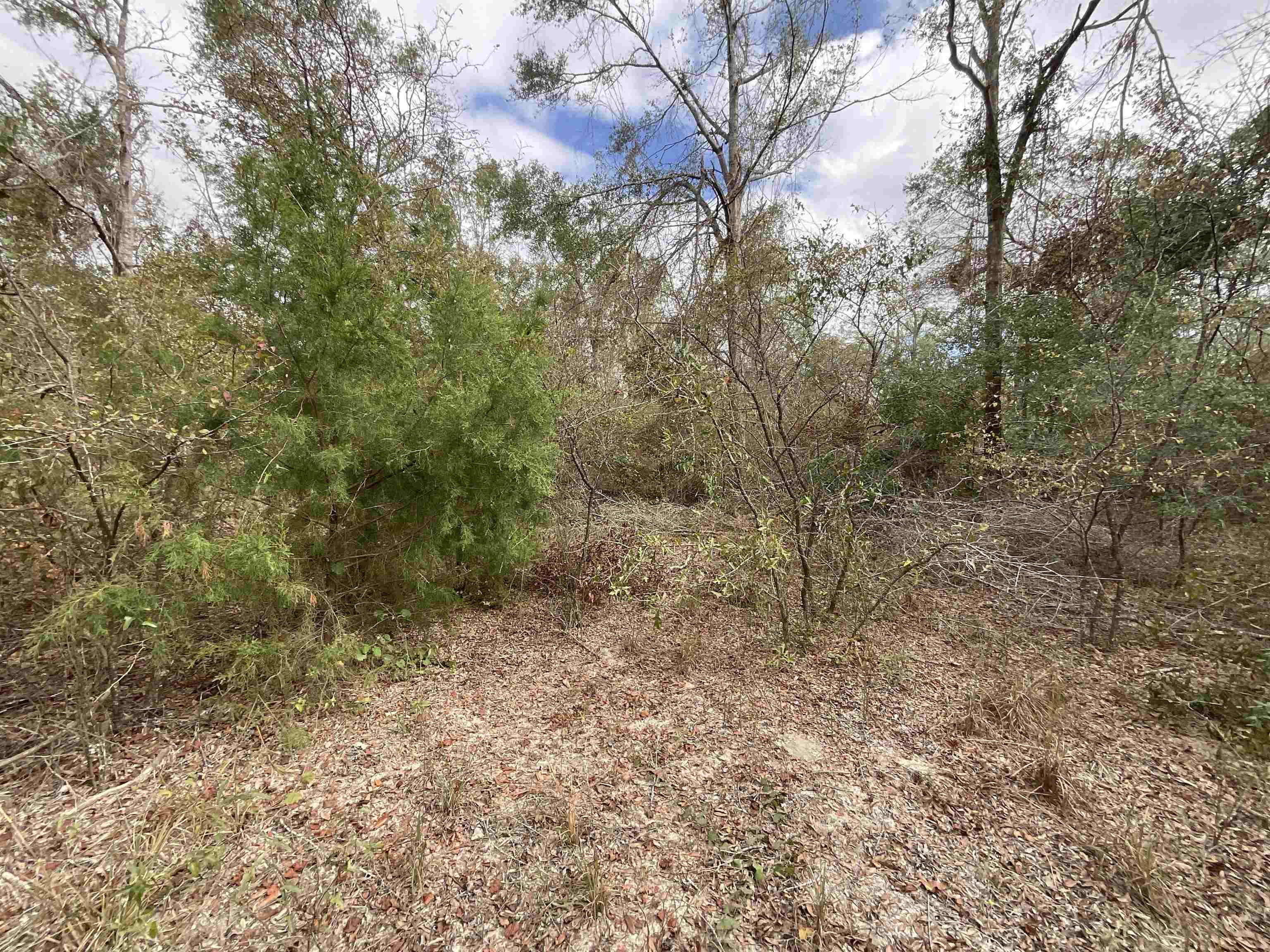 Vacant Southeast River Road Lee, FL 32059 - Photo 24 of 42