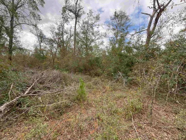 $120,000 | Vacant Southeast River Road, Lee, FL 32059