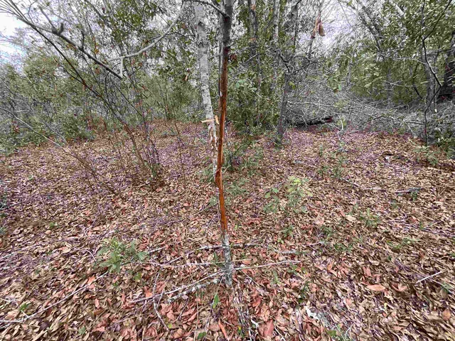 $120,000 | Vacant Southeast River Road, Lee, FL 32059