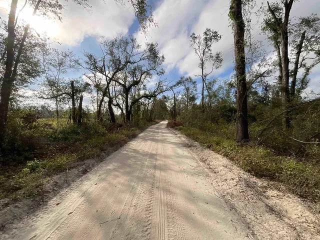 $120,000 | Vacant Southeast River Road, Lee, FL 32059