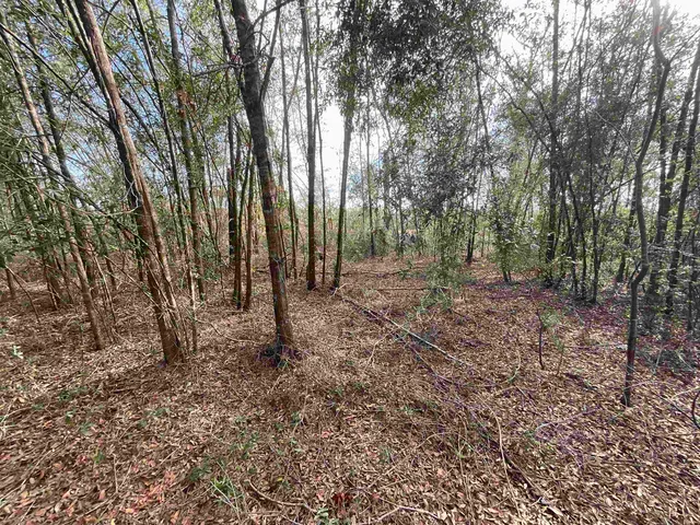 $120,000 | Vacant Southeast River Road, Lee, FL 32059