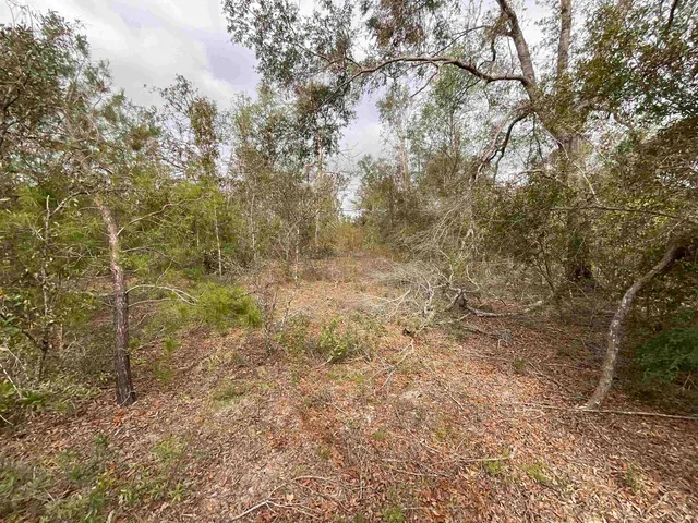 $120,000 | Vacant Southeast River Road, Lee, FL 32059