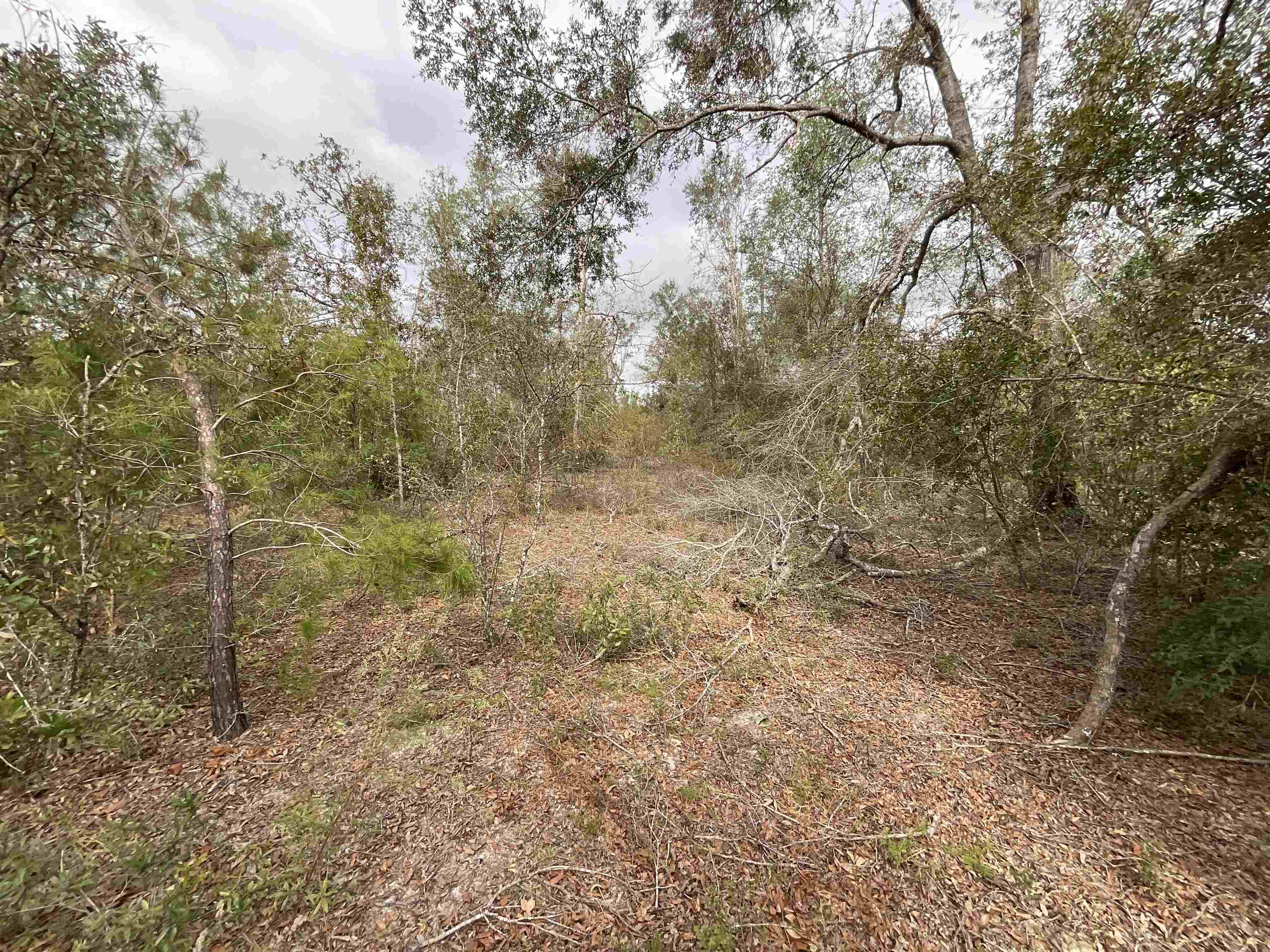 Vacant Southeast River Road Lee, FL 32059 - Photo 29 of 42