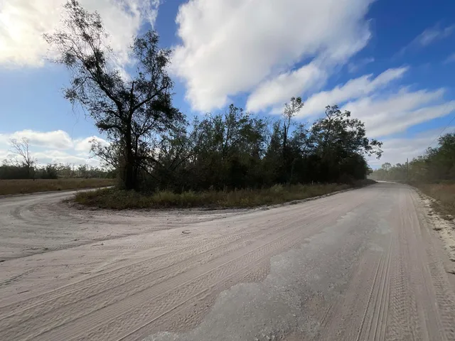 $120,000 | Vacant Southeast River Road, Lee, FL 32059