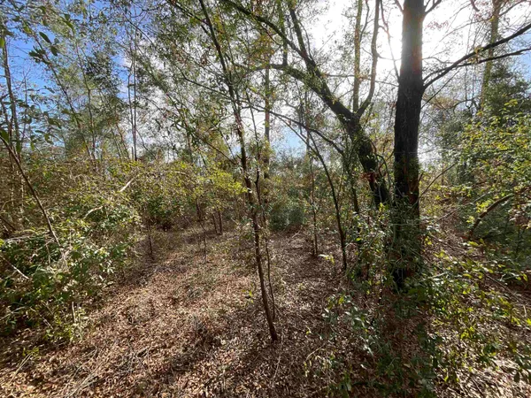$120,000 | Vacant Southeast River Road, Lee, FL 32059