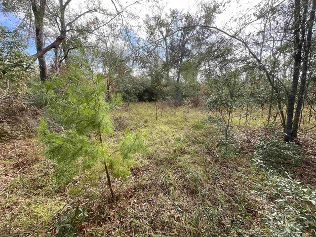 $120,000 | Vacant Southeast River Road, Lee, FL 32059