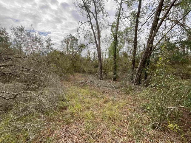 $120,000 | Vacant Southeast River Road, Lee, FL 32059