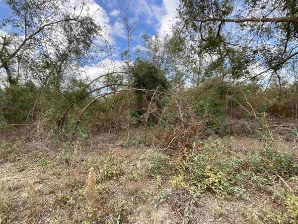 $120,000 | Vacant Southeast River Road, Lee, FL 32059