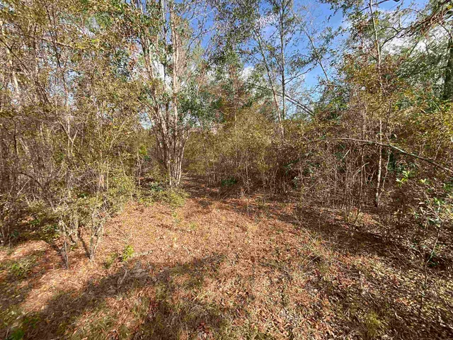 $120,000 | Vacant Southeast River Road, Lee, FL 32059