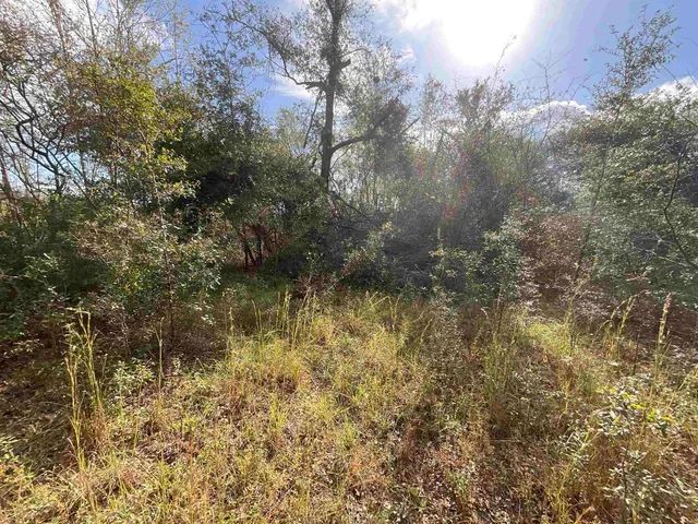 $120,000 | Vacant Southeast River Road, Lee, FL 32059