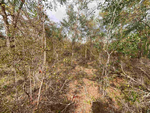 $120,000 | Vacant Southeast River Road, Lee, FL 32059