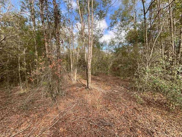 $120,000 | Vacant Southeast River Road, Lee, FL 32059