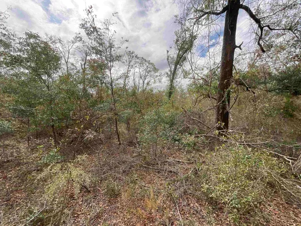 $120,000 | Vacant Southeast River Road, Lee, FL 32059