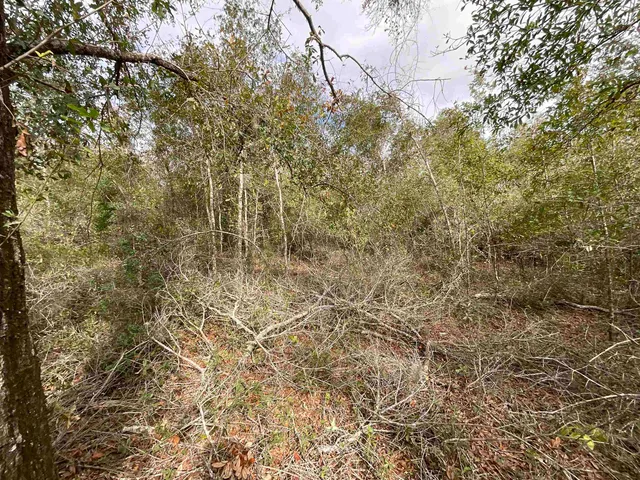 $120,000 | Vacant Southeast River Road, Lee, FL 32059