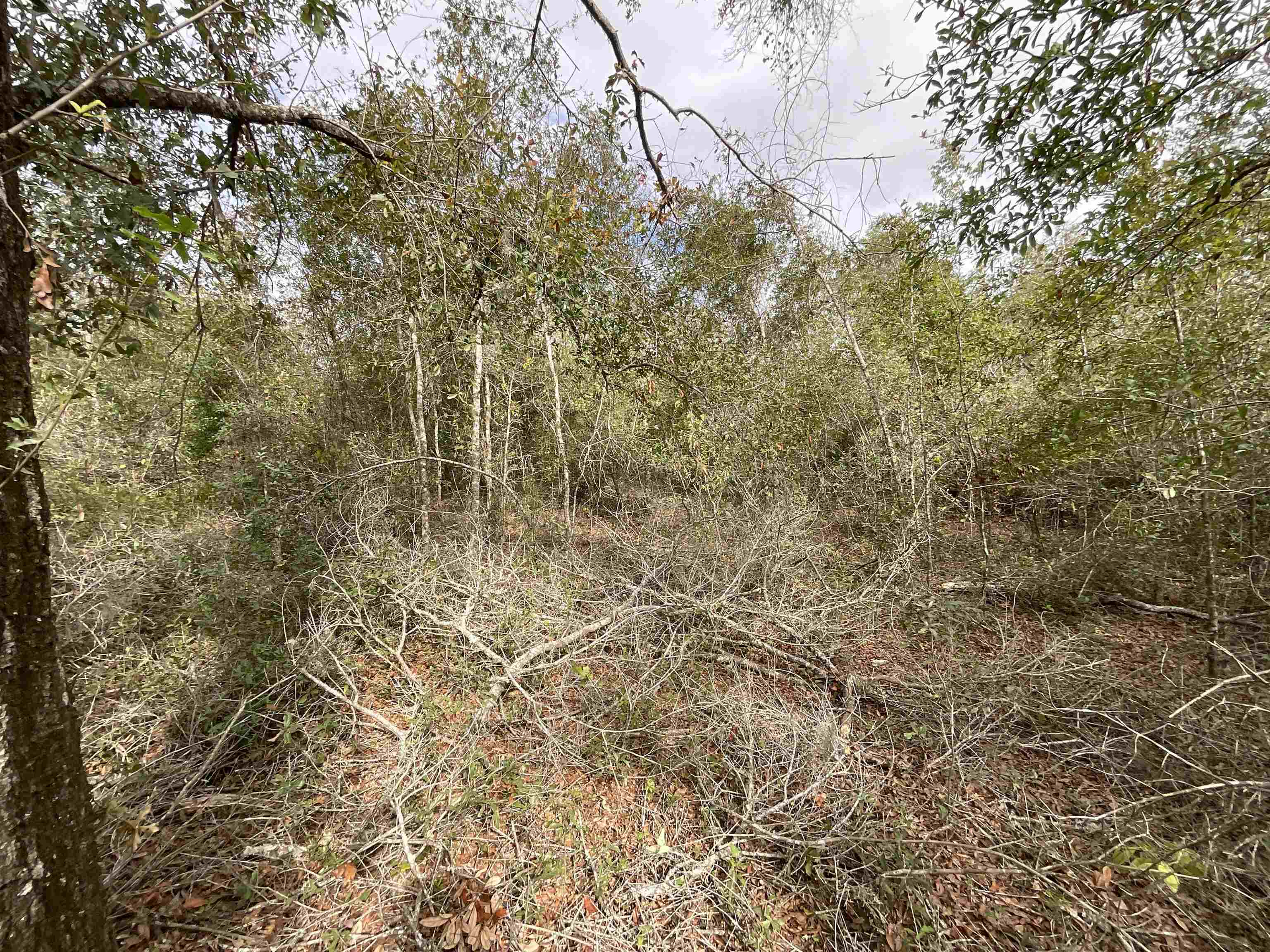 Vacant Southeast River Road Lee, FL 32059 - Photo 40 of 42