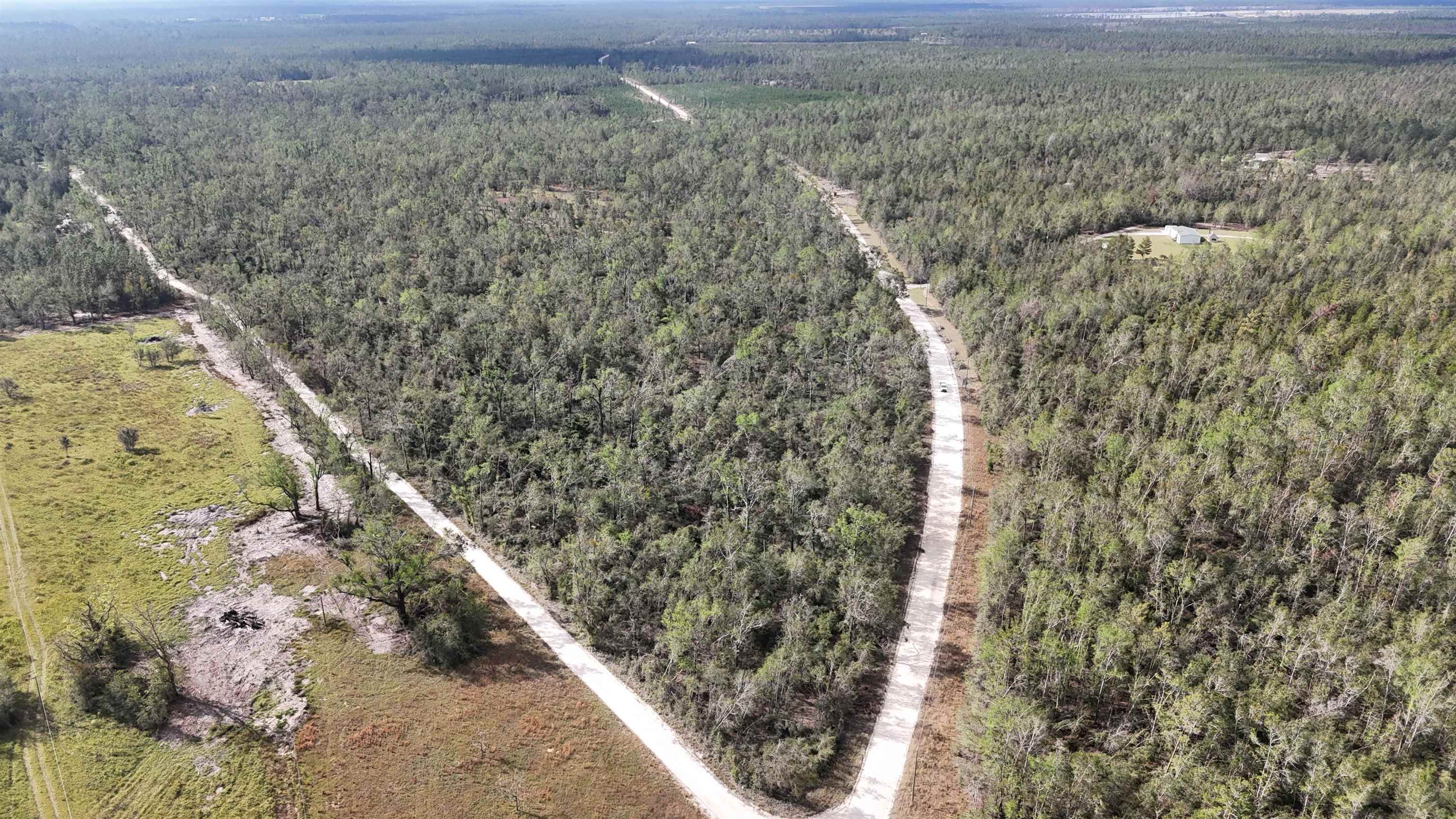 Vacant Southeast River Road Lee, FL 32059 - Photo 4 of 42