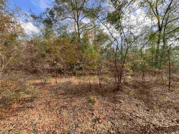 $120,000 | Vacant Southeast River Road, Lee, FL 32059