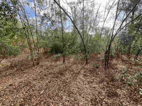 $120,000 | Vacant Southeast River Road, Lee, FL 32059