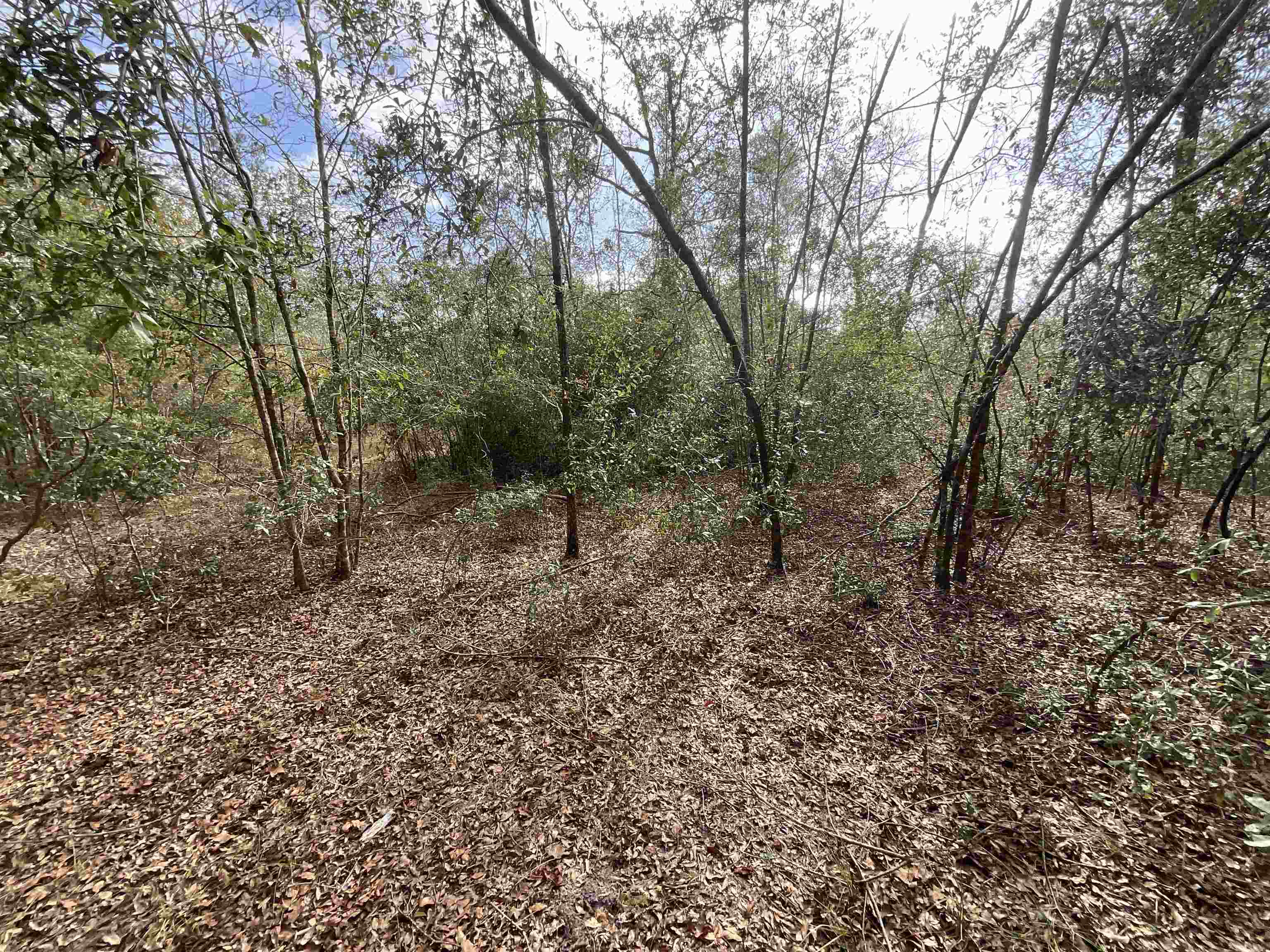 Vacant Southeast River Road Lee, FL 32059 - Photo 42 of 42