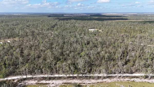$120,000 | Vacant Southeast River Road, Lee, FL 32059