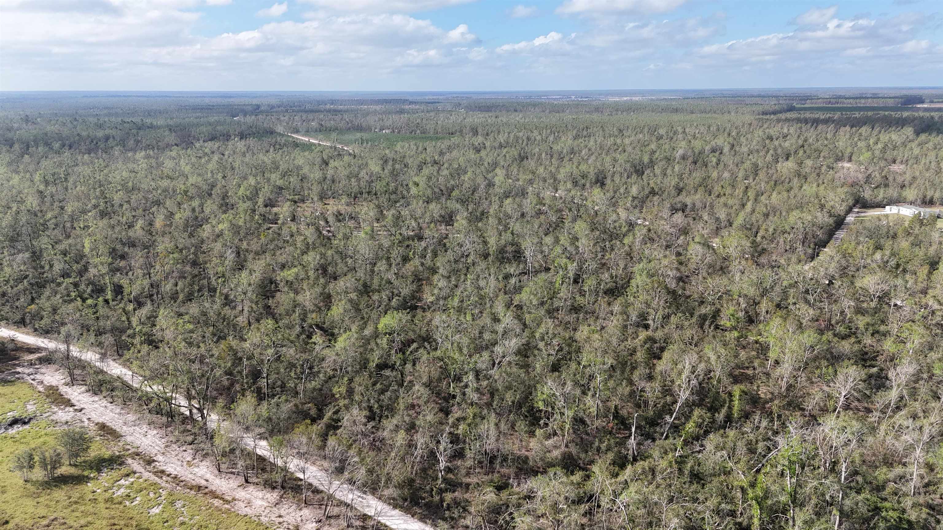 Vacant Southeast River Road Lee, FL 32059 - Photo 8 of 42