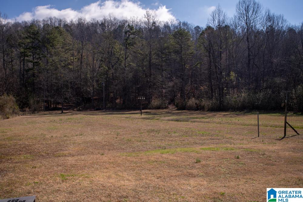 1028 Mt Gilead Road Jacksonville, AL 36265 - Photo 34 of 42