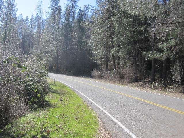 Lot 11 Trinity Mt Road French Gulch, CA 96033 - Photo 8 of 9 a view of a yard with large trees