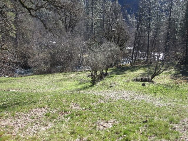 Lot 11 Trinity Mt Road French Gulch, CA 96033 - Photo 9 of 9 a view of outdoor space with a garden and trees