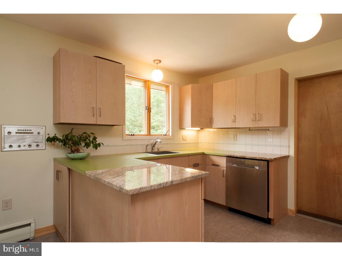 60 Peach Tree Lane Sinking Spring, PA 19608 - Photo 10 of 25 a kitchen with a sink and cabinets