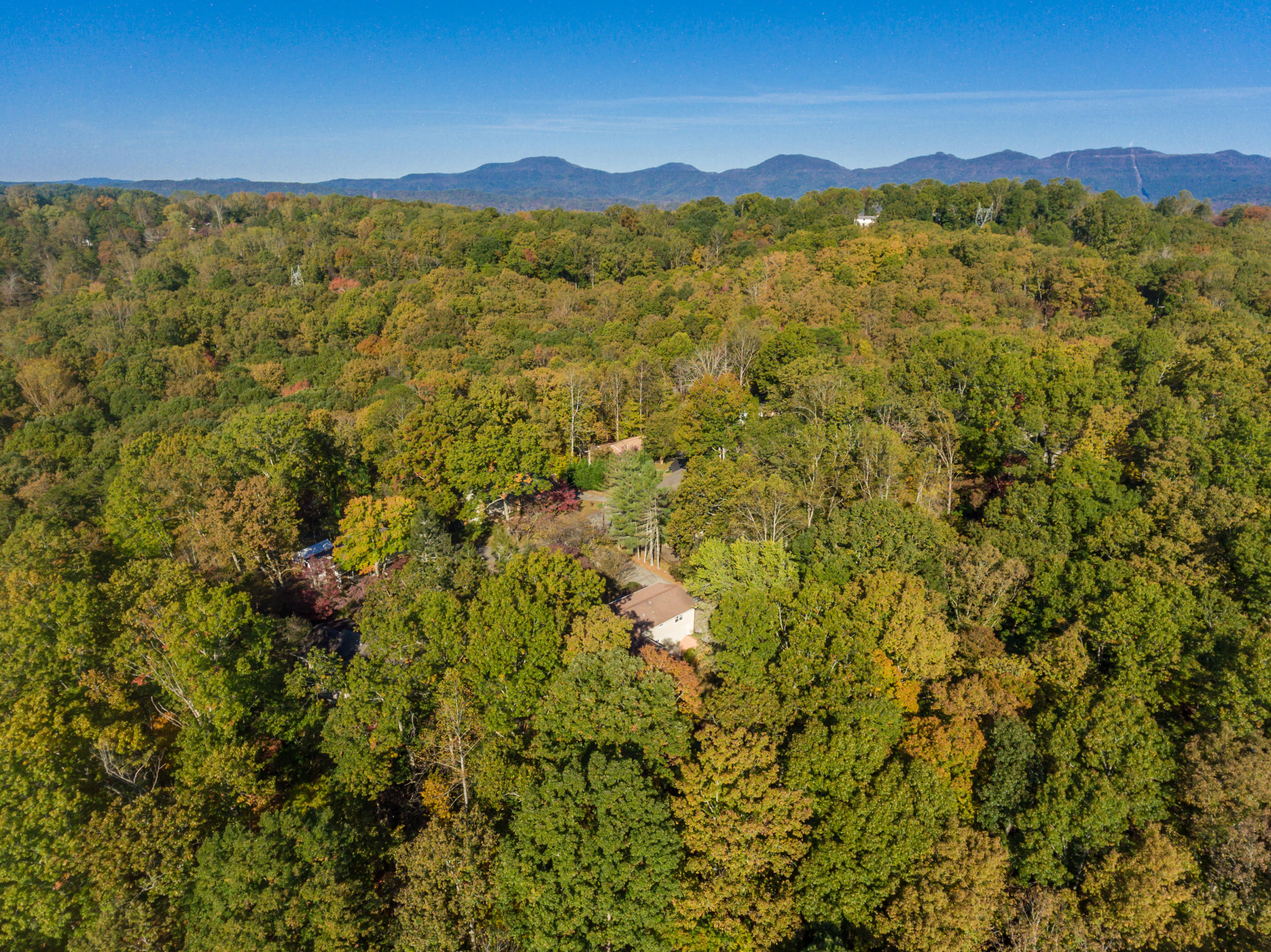 17 Moore Lane Oak Ridge, TN 37830 - Photo 3 of 40 17MooreLn-52