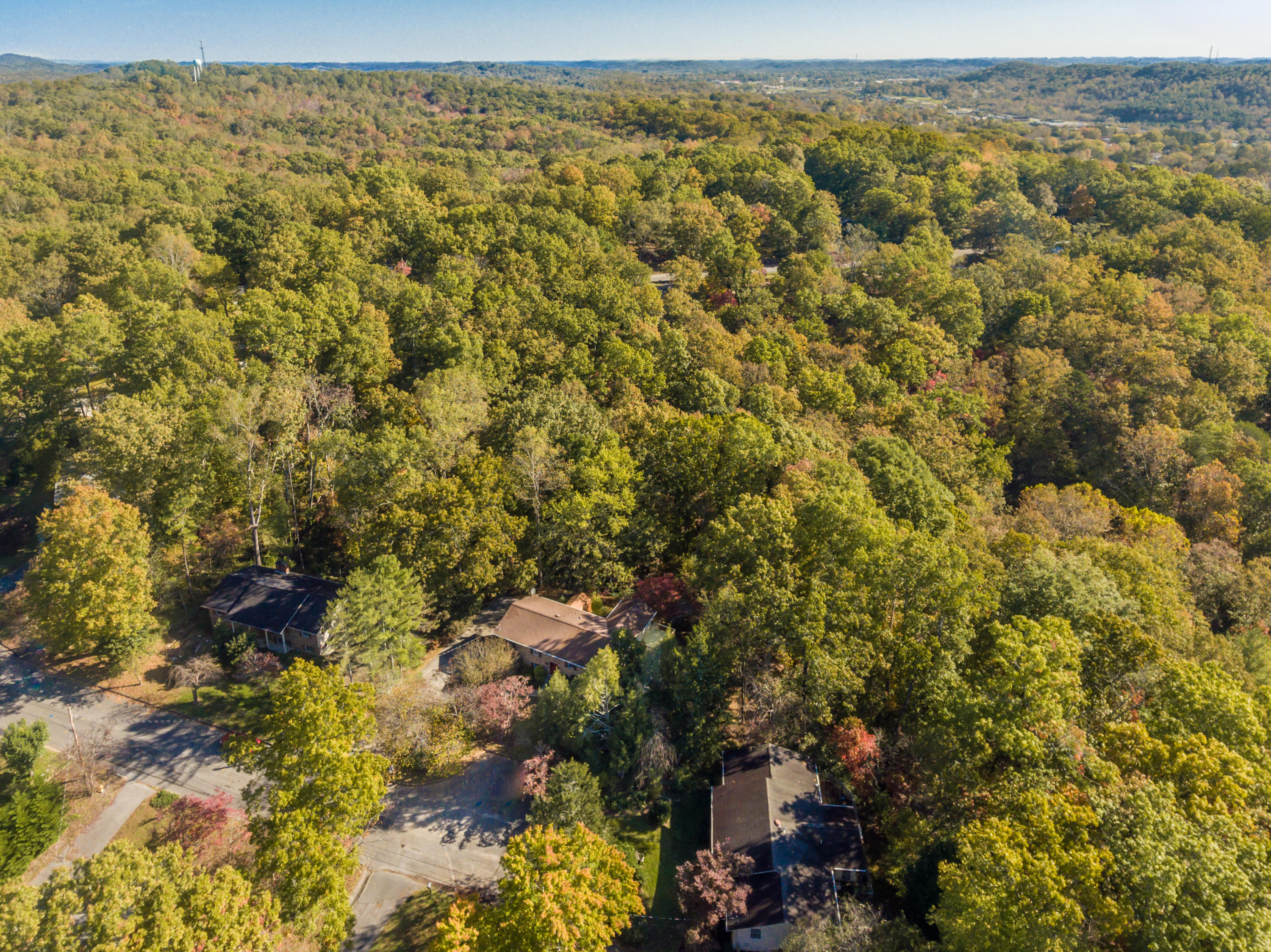 17 Moore Lane Oak Ridge, TN 37830 - Photo 38 of 40 17MooreLn-50