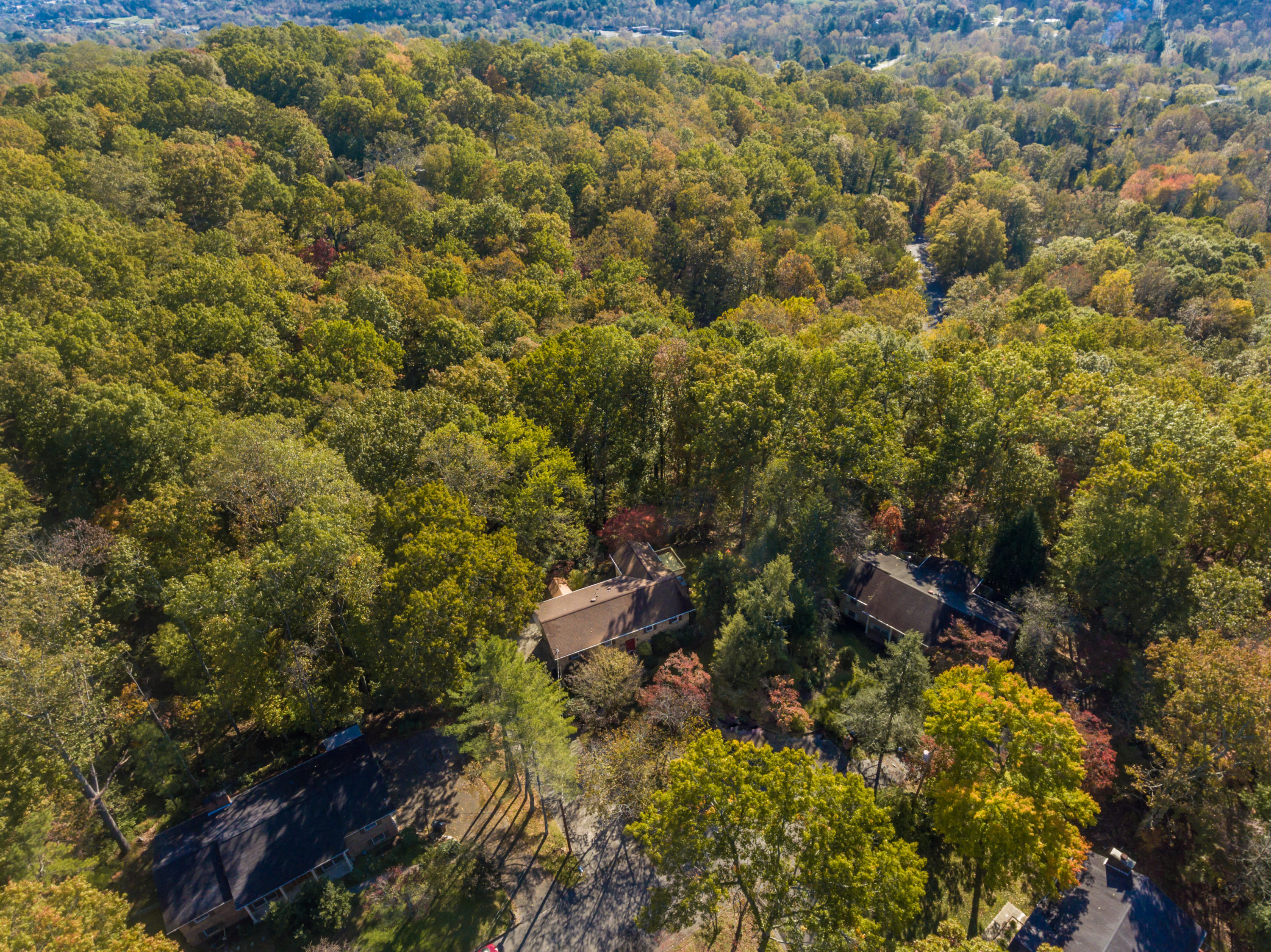 17 Moore Lane Oak Ridge, TN 37830 - Photo 40 of 40 17MooreLn-51
