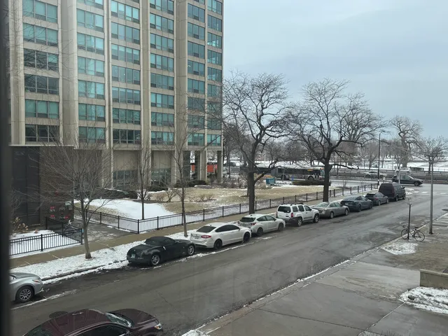 $175,000 | 525 West Hawthorne Place, Unit 206, Chicago, IL 60657