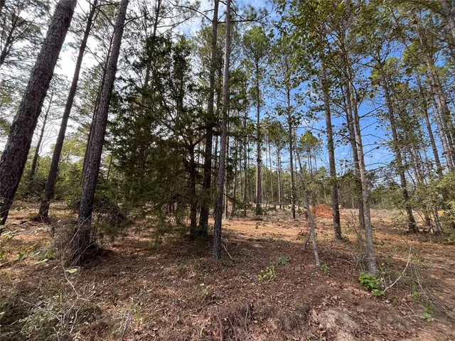 a view of outdoor space with lots of trees