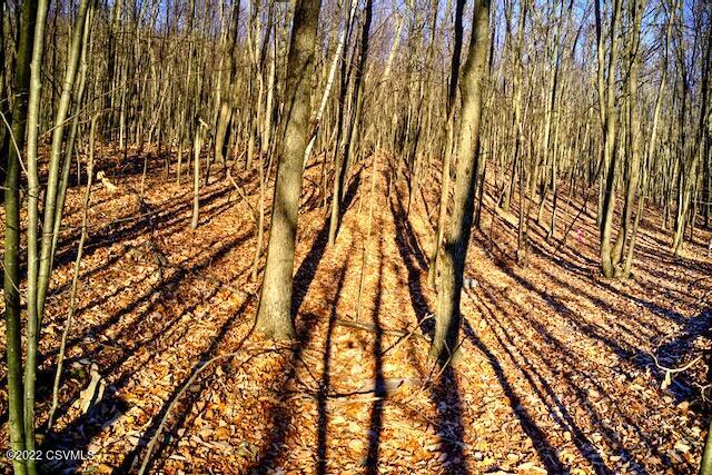 3 Shickshinny Valley Road Shickshinny, PA 18655 - Photo 8 of 10 Gallery Image 8