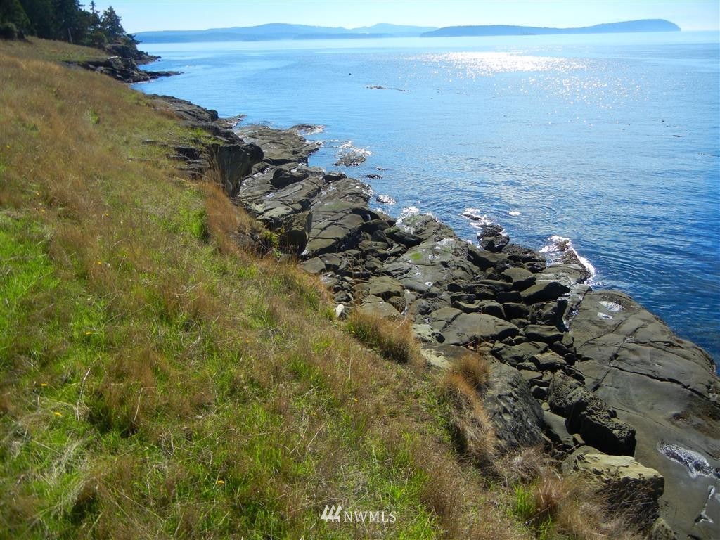 2100 South Side Road Friday Harbor, WA 98250 - Photo 11 of 25 Gallery Image 11