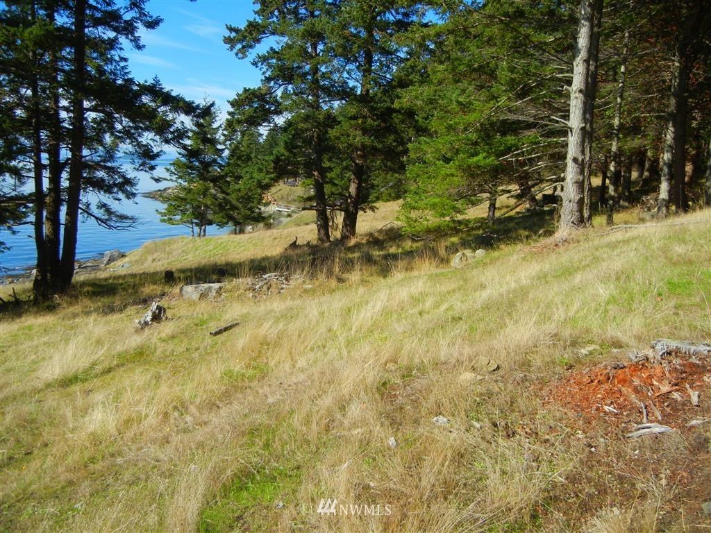 2100 South Side Road Friday Harbor, WA 98250 - Photo 22 of 25 Gallery Image 22