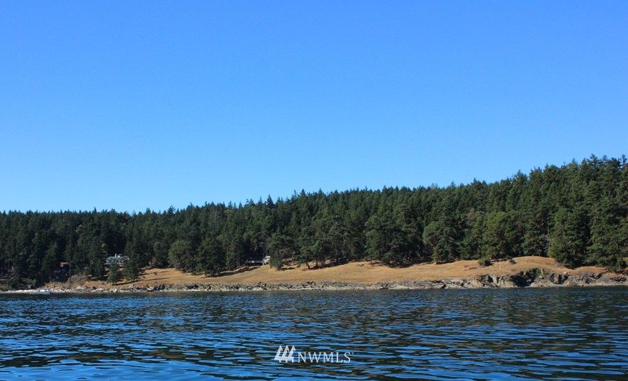 2100 South Side Road Friday Harbor, WA 98250 - Photo 23 of 25 Gallery Image 23