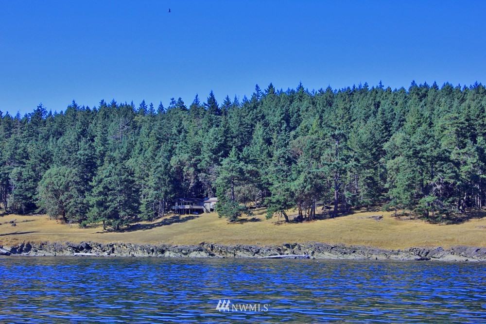 2100 South Side Road Friday Harbor, WA 98250 - Photo 24 of 25 Gallery Image 24