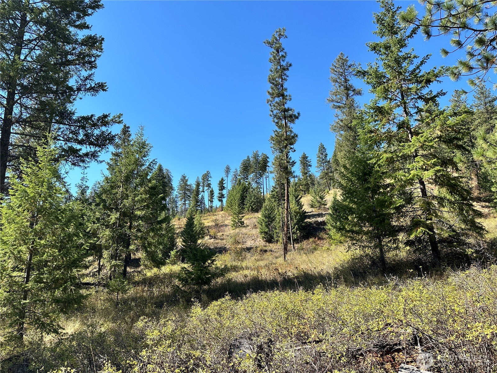 1 Deadman Creek Road Kettle Falls, WA 99141 - Photo 13 of 21 Gallery Image 13