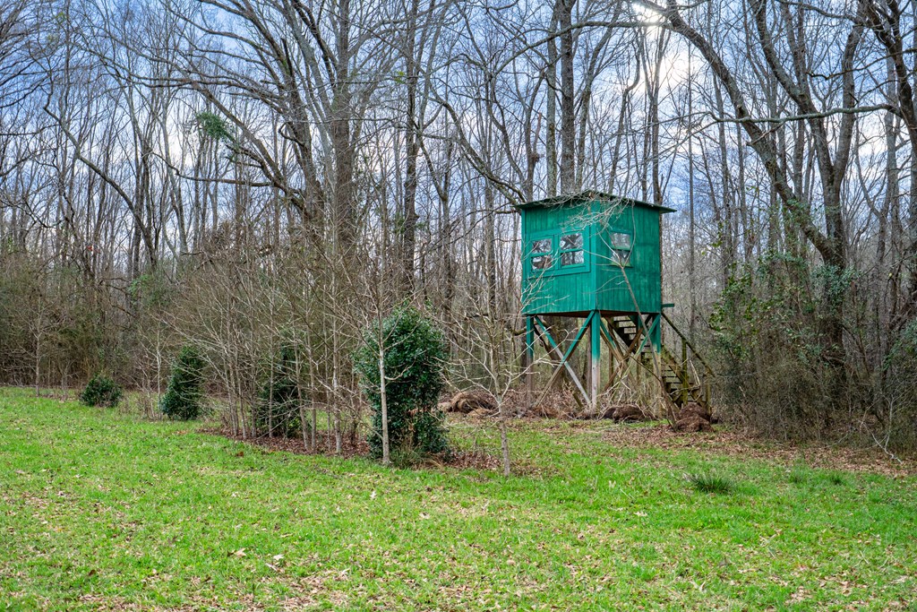 229 Trammel Road Pine Mountain, GA 31822 - Photo 48 of 86 Gallery Image 48