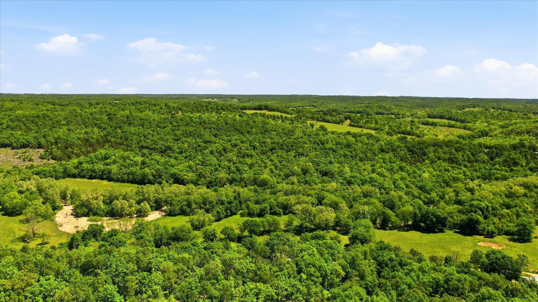 15511 Co Road, Unit 115 Ava, MO 65608 - Photo 13 of 45 10-DJI_0569